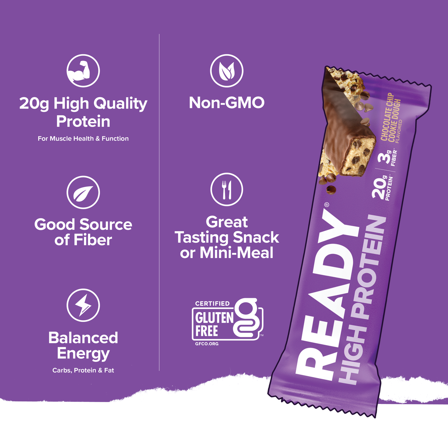 Ready® High Protein 20G Bar - Chocolate Chip Cookie Dough