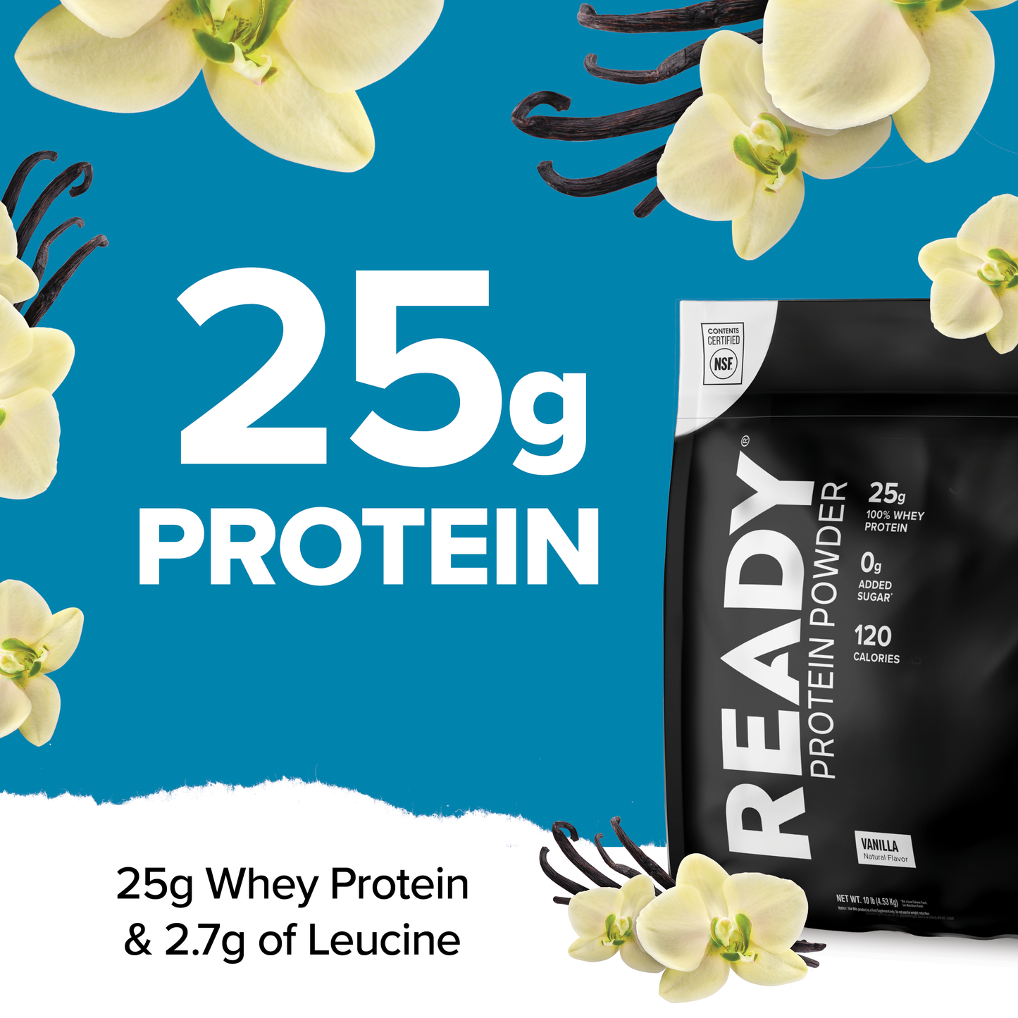 Clean Protein Powder - Vanilla (10 lb) TEAM Edition
