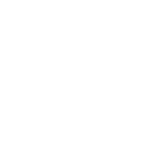 Ready Foundation logo