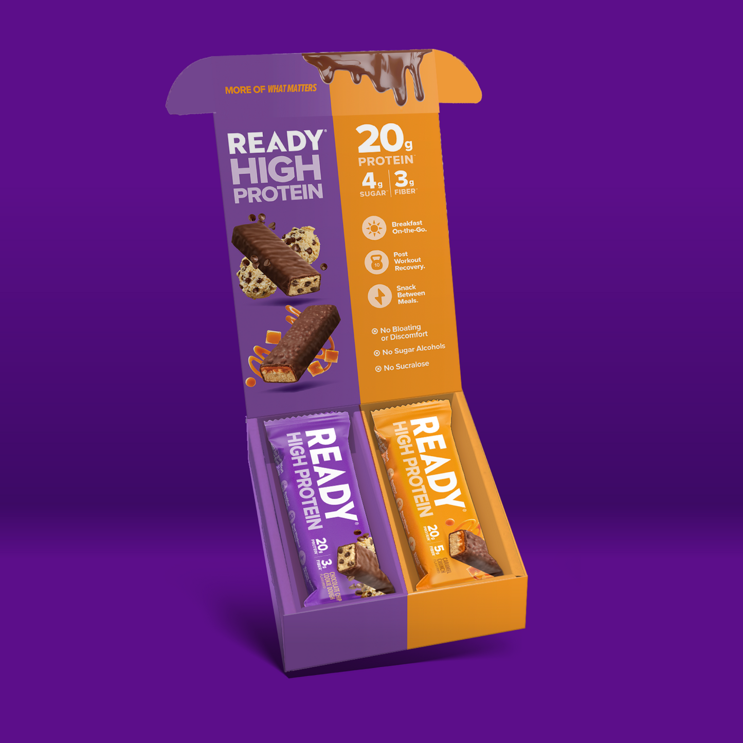Ready® High Protein 20G Bar Sample Kit
